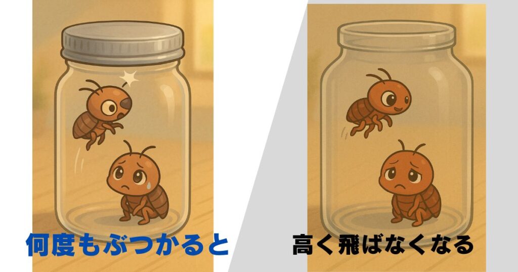 ノミの話アイキャッチ
